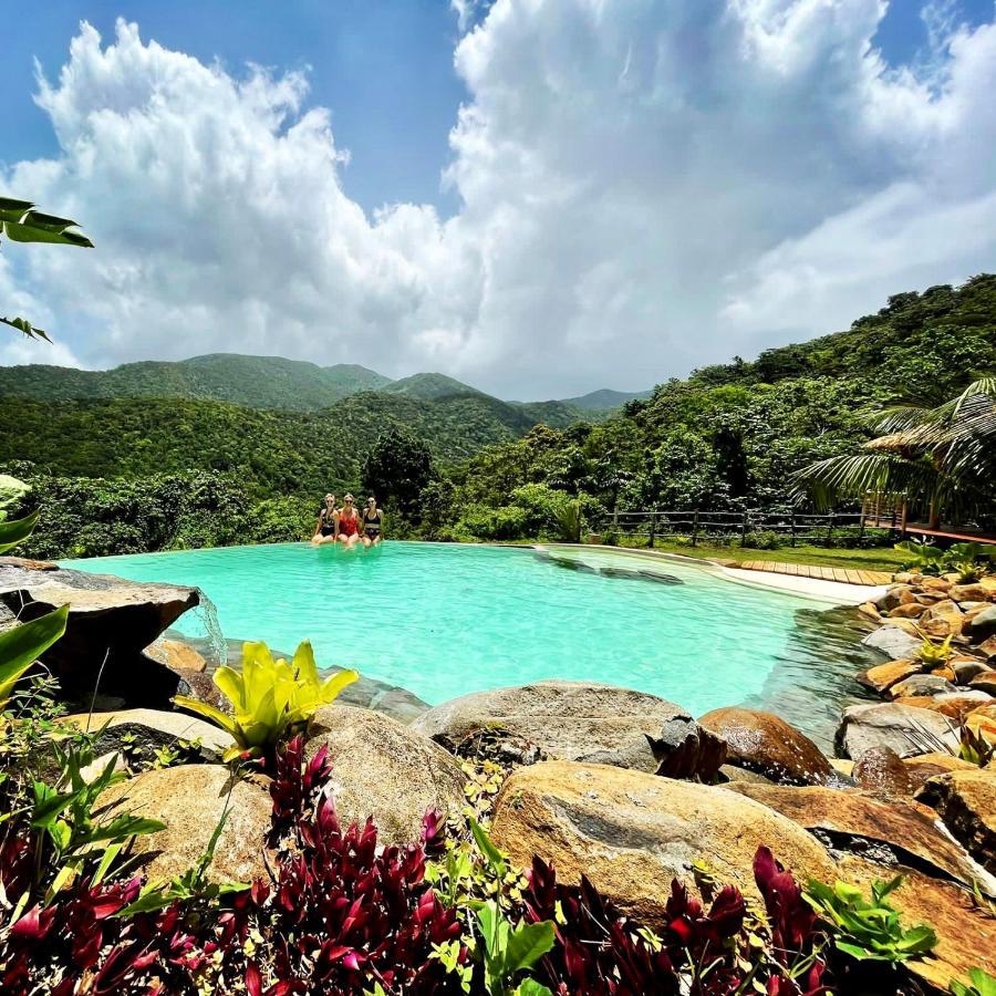 Habitation Melipone Ecolodge Vue Mer, Piscine Spa